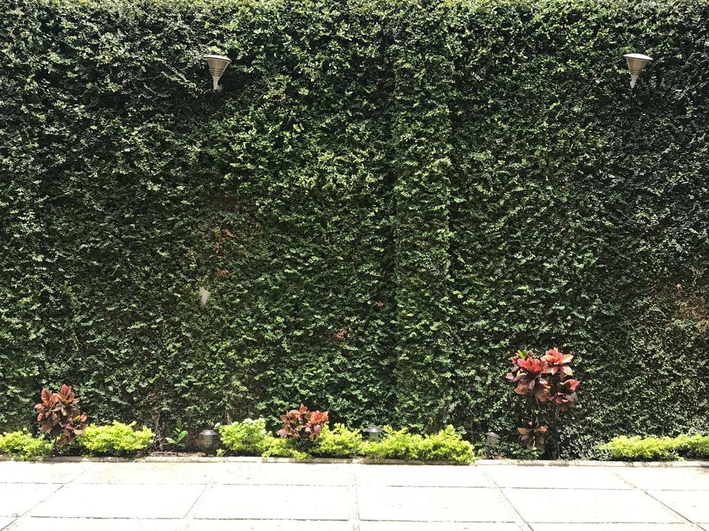 Real Avenida Hotel Tuxtla Gutiérrez Exterior foto